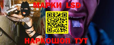 стафф Новодвинск