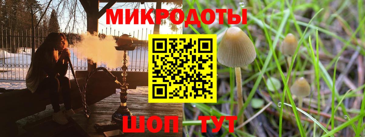 Галлюциногенные грибы GOLDEN TEACHER Астрахань